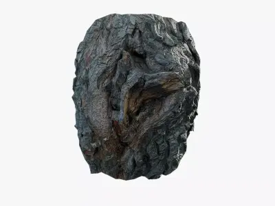 Anydrafts Salix matsudana Burl 02 Low-poly 3D model