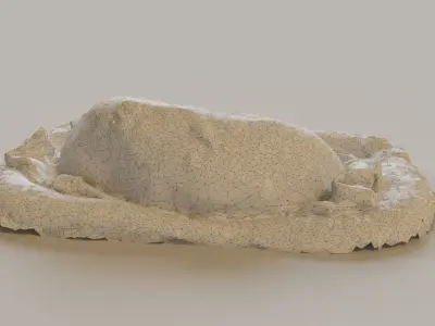 Sleeping dog 3D model