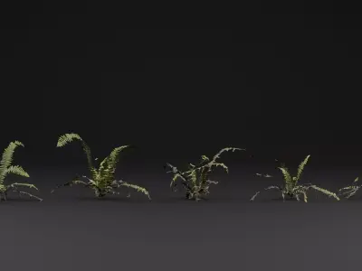 Bracken Fern Plant 3D model