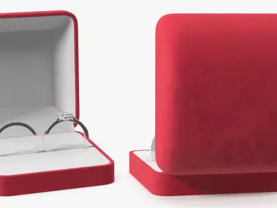 Engagement Rings Silver Color in Velvet Case 3D model