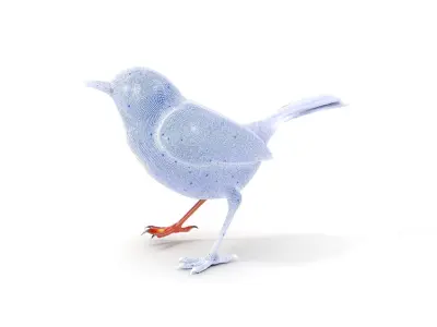 Detailed Realistic Bird D Model Pack Low-poly 3D model