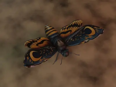 Detailed 3D Model of a Monarch Butterfly 3D model