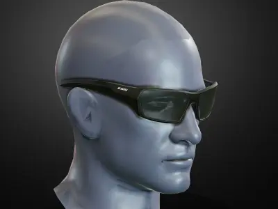 ESS RollBar glasses Low-poly 3D model