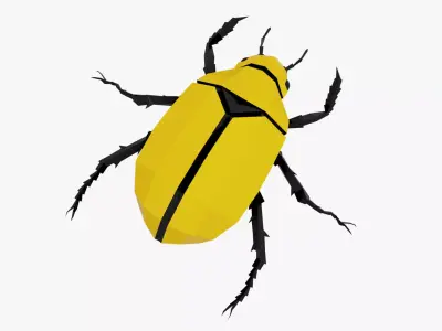 Bug low poly polygonal beetle Low-poly 3D model