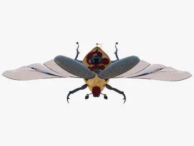 Souvenir of the May beetle 3D model