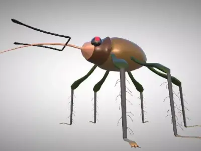 Insect bug with long legs 3D model