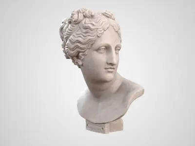  Italica Venus Bust 