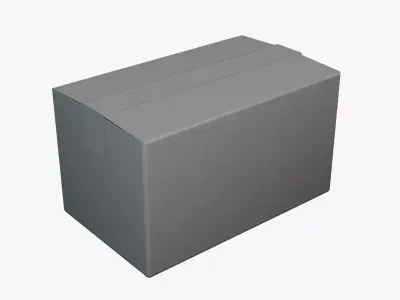 Basic Cardboard - Geometry Only No Textures No Materials 3D model