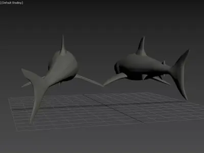 Shark Model with Texture Free 3D model