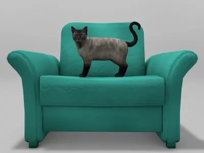 Burmese Cat Rigged Low-poly 3D model