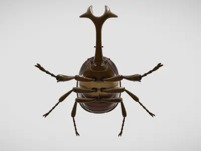 beetle 3D model get