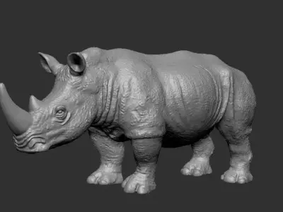 Rhinoceros model 3D model