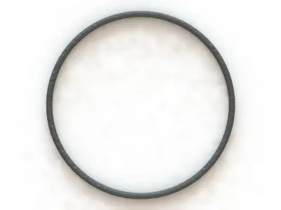 O Ring Vedabras 12817 3D model