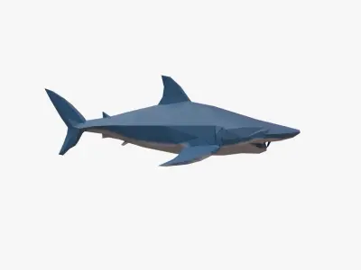 Shark low poly Low-poly 3D model