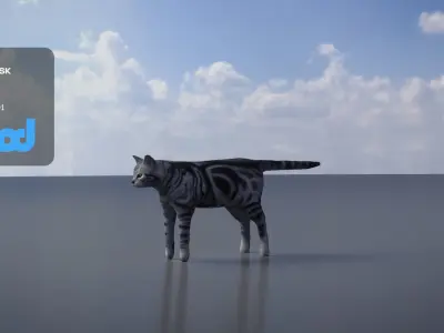 Cat American Shorthair 3D model