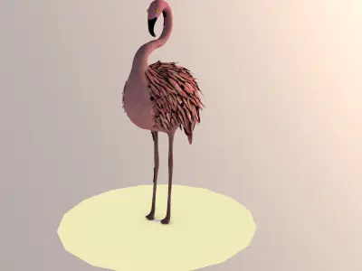 Flamingo 3D model order