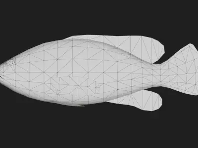 Grouper Low-poly 3D model get