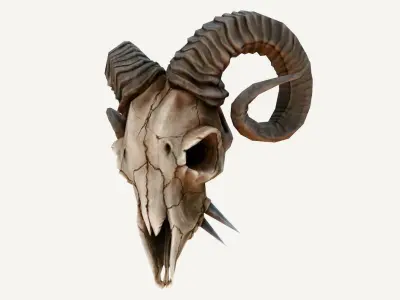 Low-Poly Rams Skull Low-poly 3D model