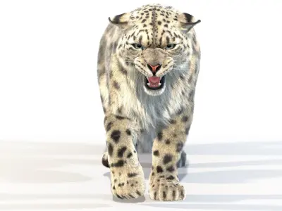 Animated Snow Leopard Fur 3D model