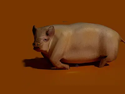 Low poly pig Low-poly 3D model