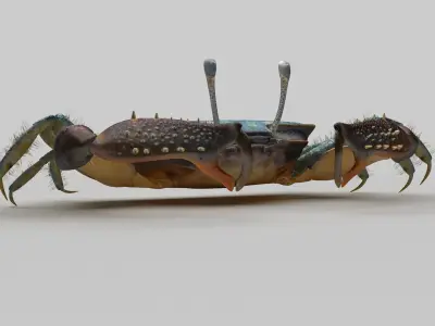Short bodied crabs with big eyes Low-poly 3D model