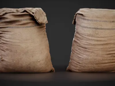 Realistic old burlap bag 02 photo scan Low-poly 3D model