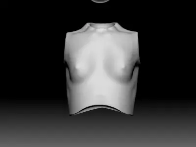 BJD female chest torso part  3D print model