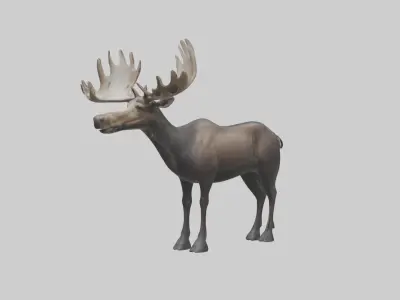 Moose deer Low-poly 3D model