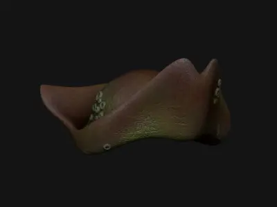 Flying Dutchman Crew Hat - Pirate Costume Low-poly 3D model
