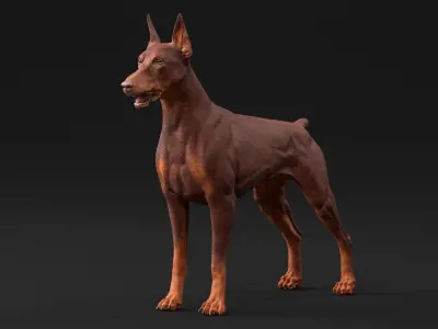 Doberman Dog Brown 3D model