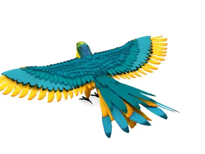 Pack of 7 Birds Rigged 3D Model Free low-poly 3D model
