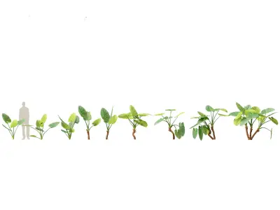 Jungle Foliage Pack 16 3D model
