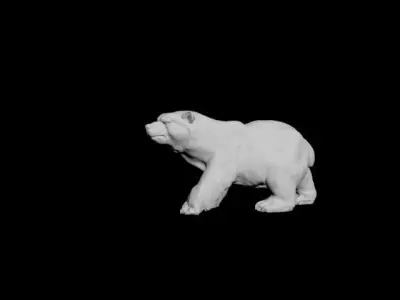 Brown bear 3D model purchase