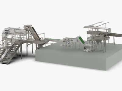 Garlic Sorting and Processing Equipment 3D model