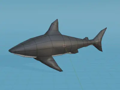 shark Low-poly 3D Model Low-poly 3D model