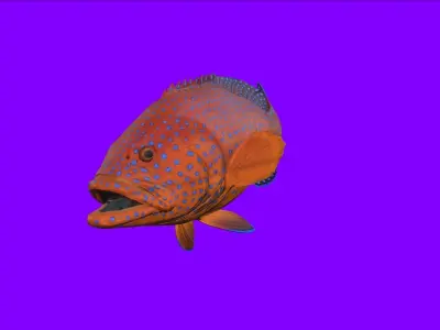 Fish Animation 3d model Low-poly 3D model