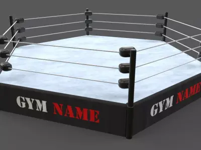 PBR Modular TNA Six sided Hexagon Wrestling Rings Low-poly 3D model