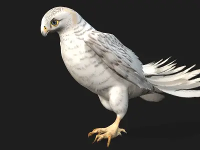 Kestrel B6 3D model