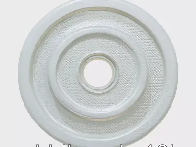 Precision Barbell Weight Plate with Reinforced Ribbing Low-poly 3D model