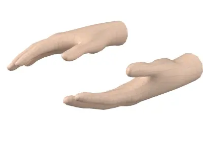 Female Hand Base Mesh 06 3D model