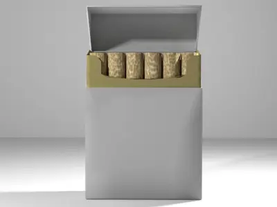 Cigarette box of cigarettes 3D model