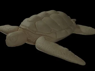 Sea Turtle Model 3D print model