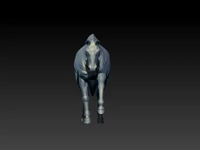 Horse 3D model 9