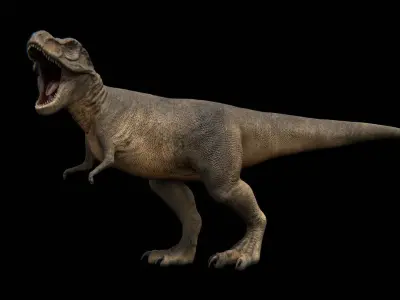 Tyrannosaurus Rex - Theropod Dinosaur Low-poly 3D model