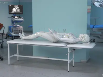 Female Acupuncture Mannequin on the Couch 3D model