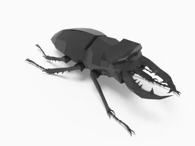 Bug low poly beetle Low-poly 3D model