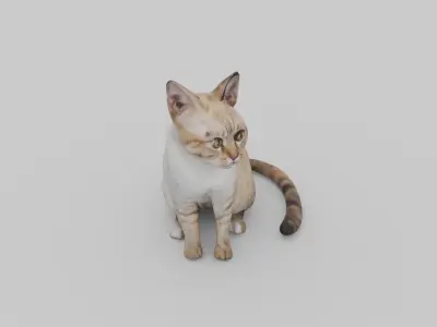 cute cat Low-poly 3D model