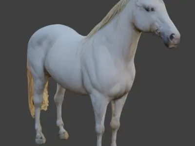  white horse 3D model