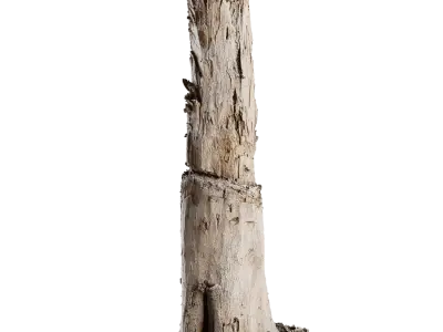  Tall Cut Damaged Stump Model 