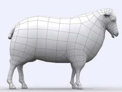 3DRT - Sheep Low-poly 3D model